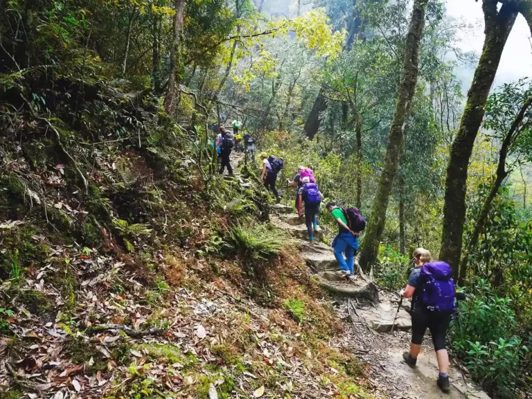 Sapa Pathfinder Travel 24 FULL DAY FANSIPAN TREKKING TOUR – RETURN BY CABLE CAR